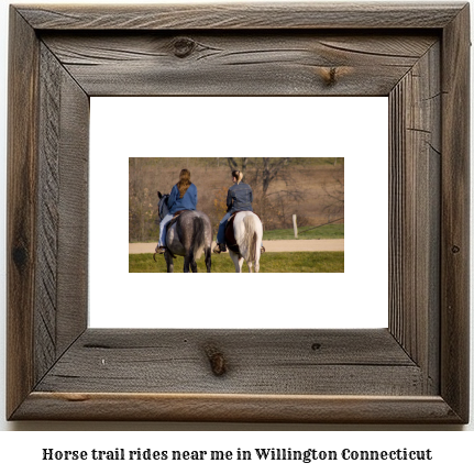 horse trail rides near me in Willington, Connecticut